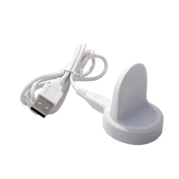 Samsung Gear S3 Charger