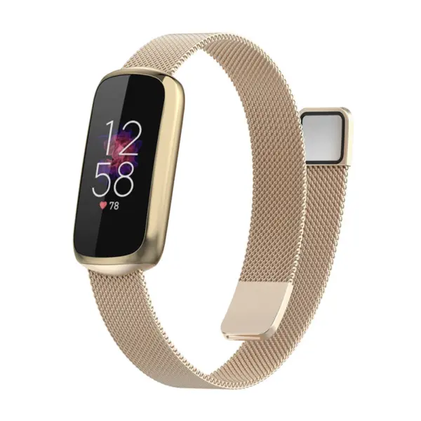 fb.m146.tg Main Retro Gold StrapsCo Stainless Steel Mesh Watch Band for Fitbit Luxe